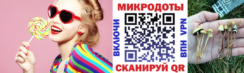 где купить наркоту  hydra вход  Псилоцибиновые грибы GOLDEN TEACHER  Волчанск 